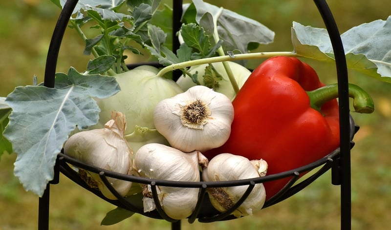 Enchanted Vegetables