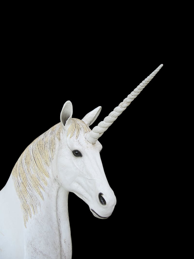 Unicorn illustration